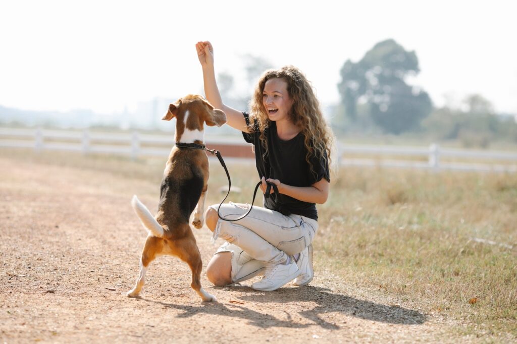 Natural Remedies for Dog Anxiety, Behavior Modification Techniques: Effective Techniques for Reducing Anxiety