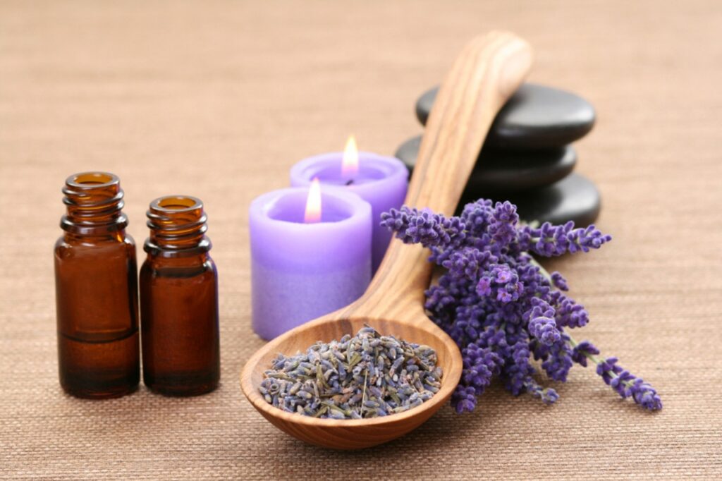 Natural Remedies for Dog Anxiety - Essential Oils: The Calming Power of Lavender and Chamomile Oils